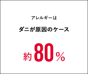 アレルギーはダニが原因のケース約80%