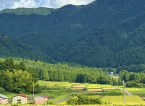 夏の影
